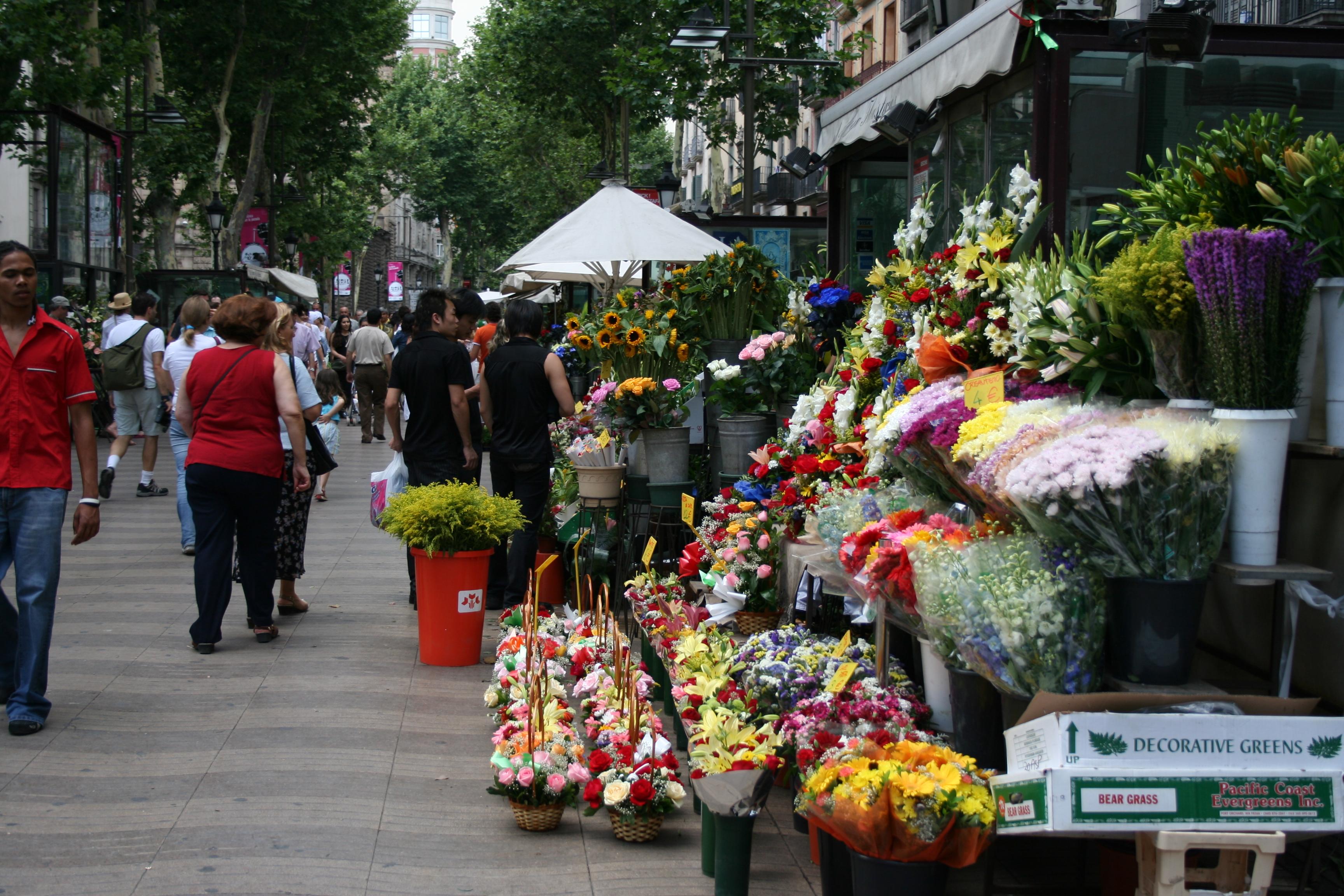 Cover image of this place La Rambla
