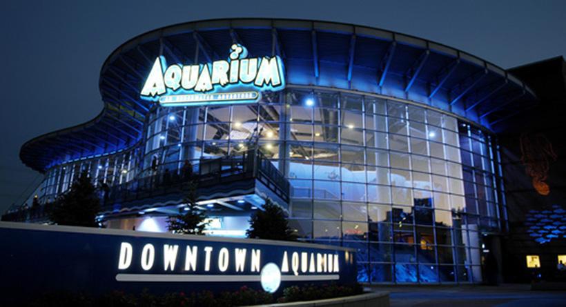 Cover image of this place Downtown Aquarium