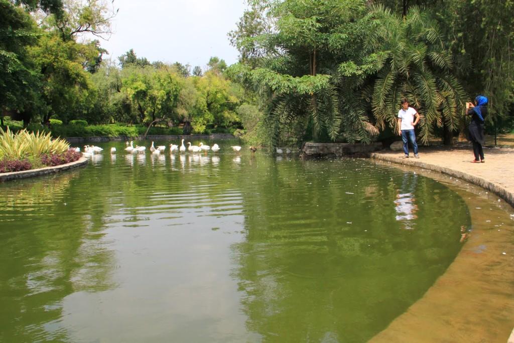 Cover image of this place Lodhi Gardens (लोधी बाग़) (Lodhi Gardens)