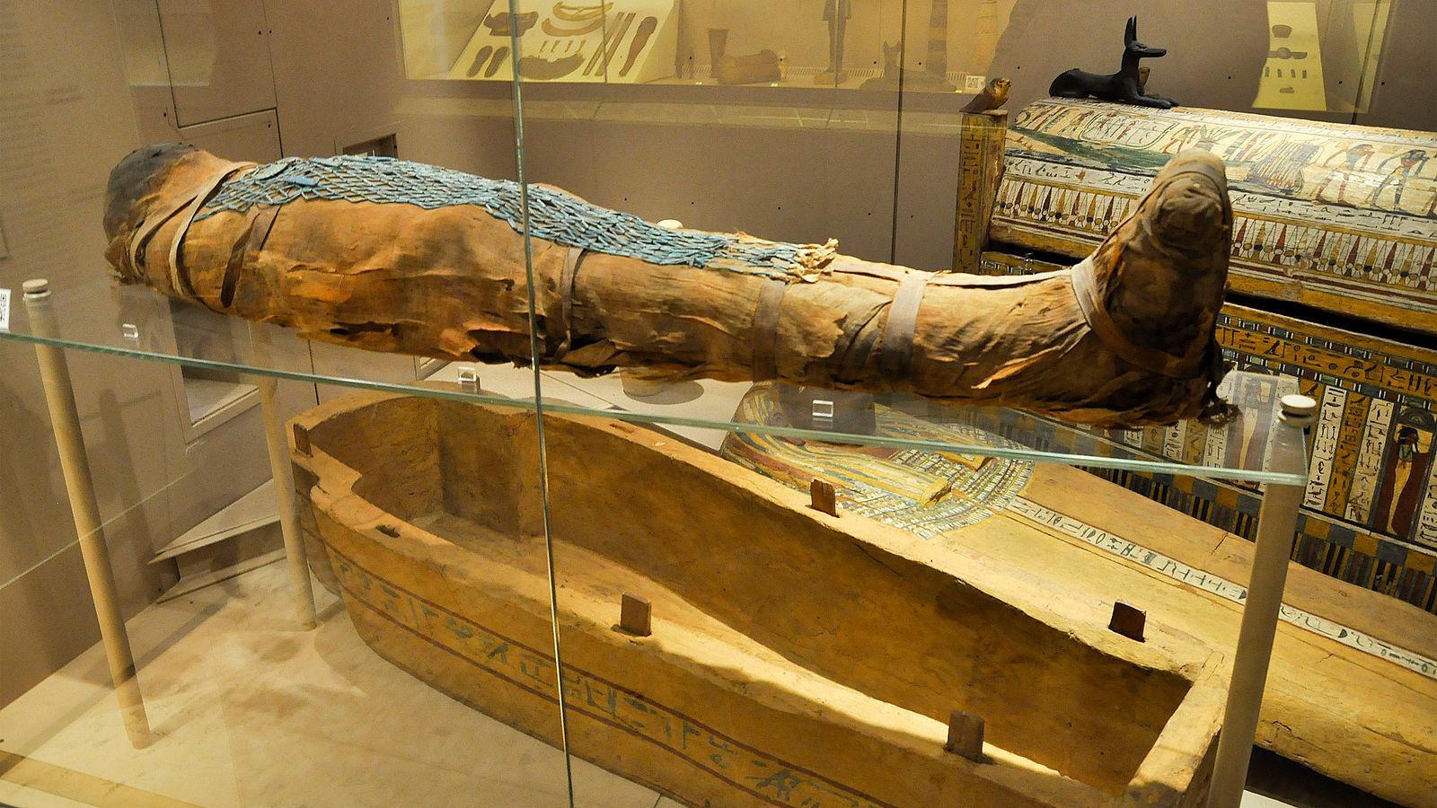 Cover image of this place Museo Civico Archeologico
