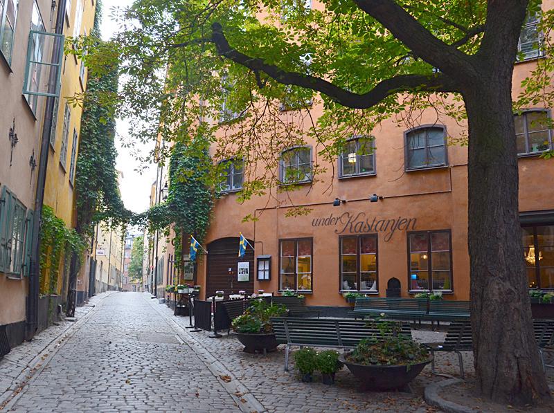 Cover image of this place Under Kastanjen