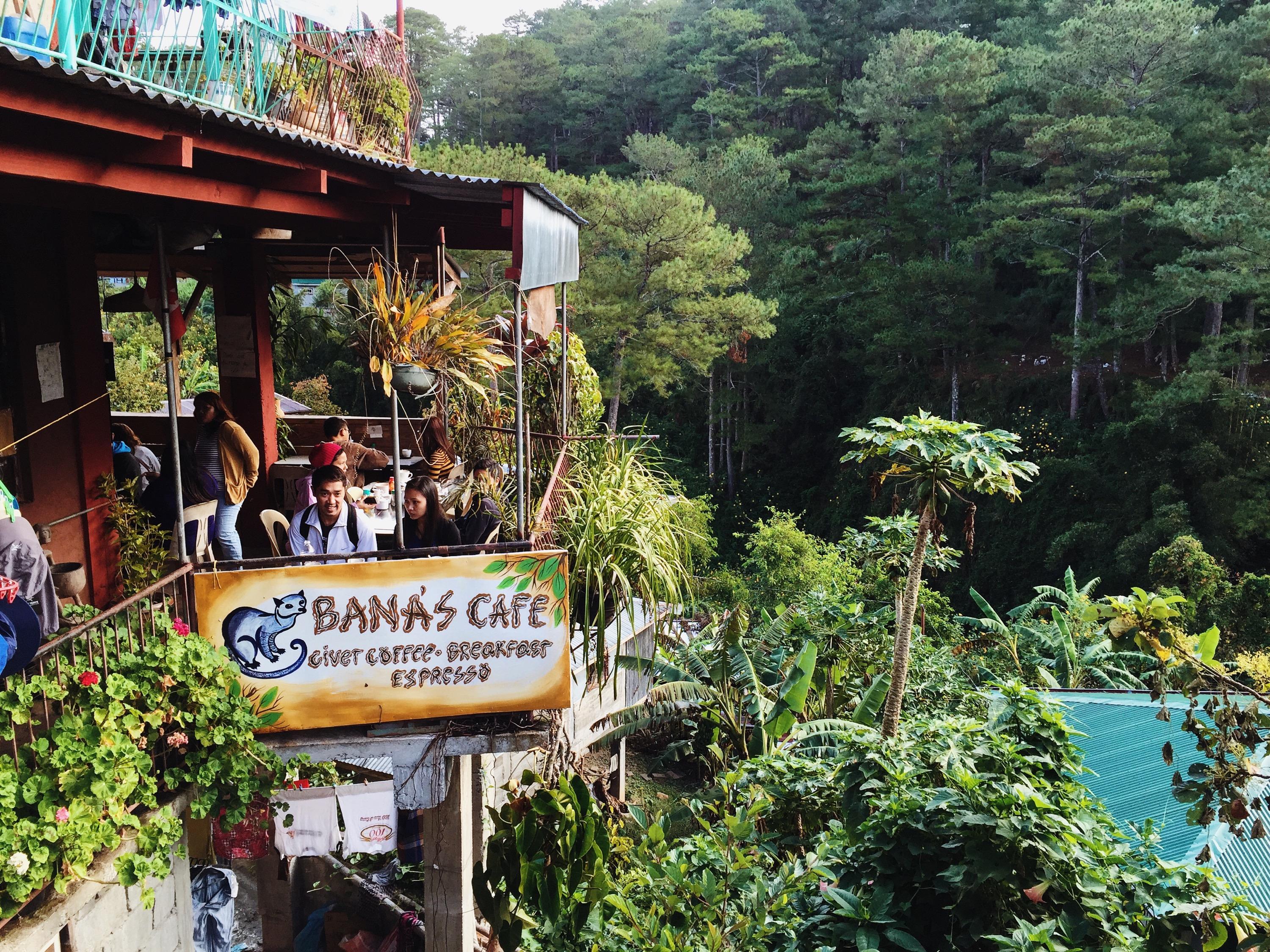 Cover image of this place Bana's Cafe & Restaurant