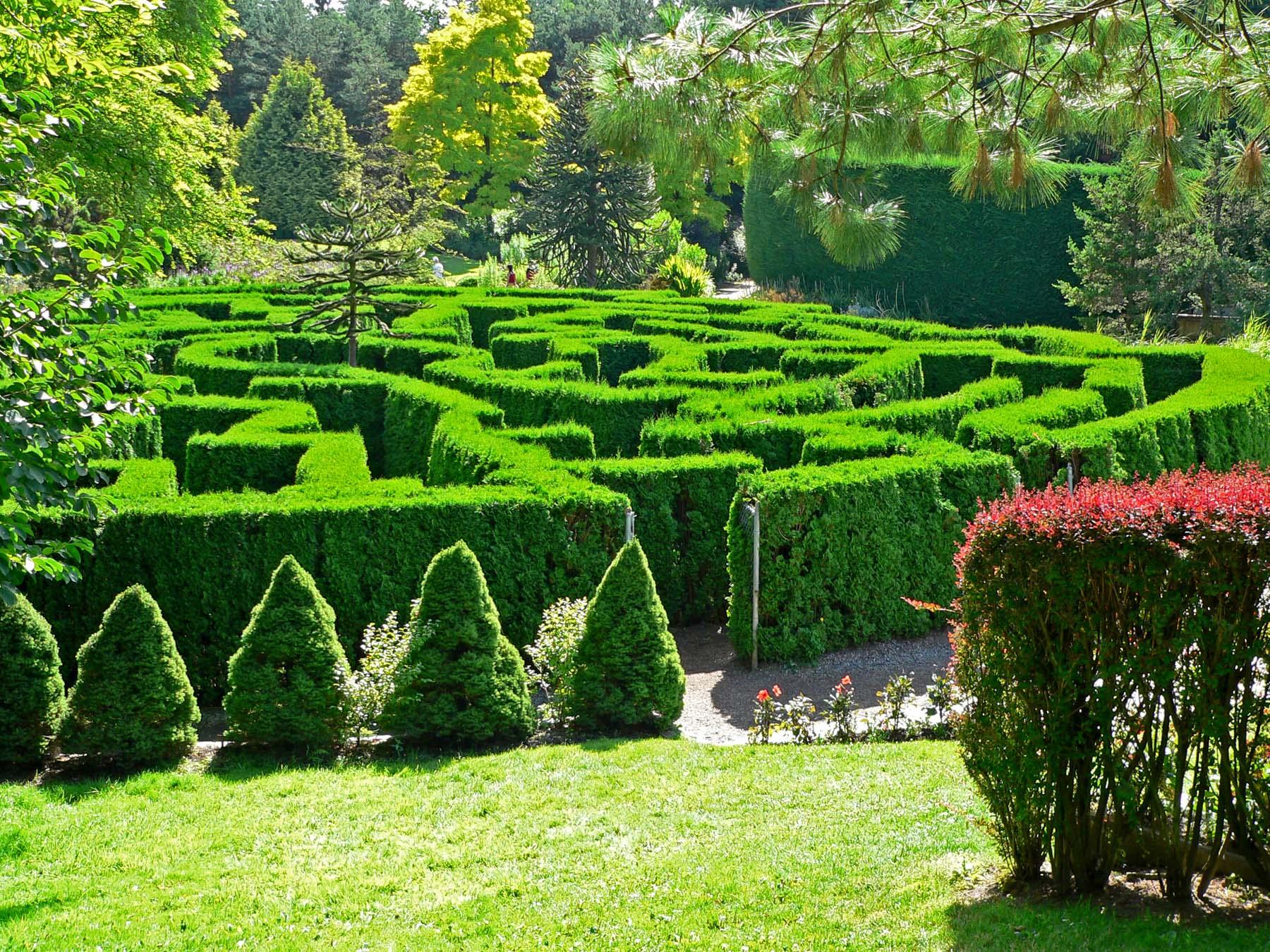 Cover image of this place VanDusen Botanical Garden