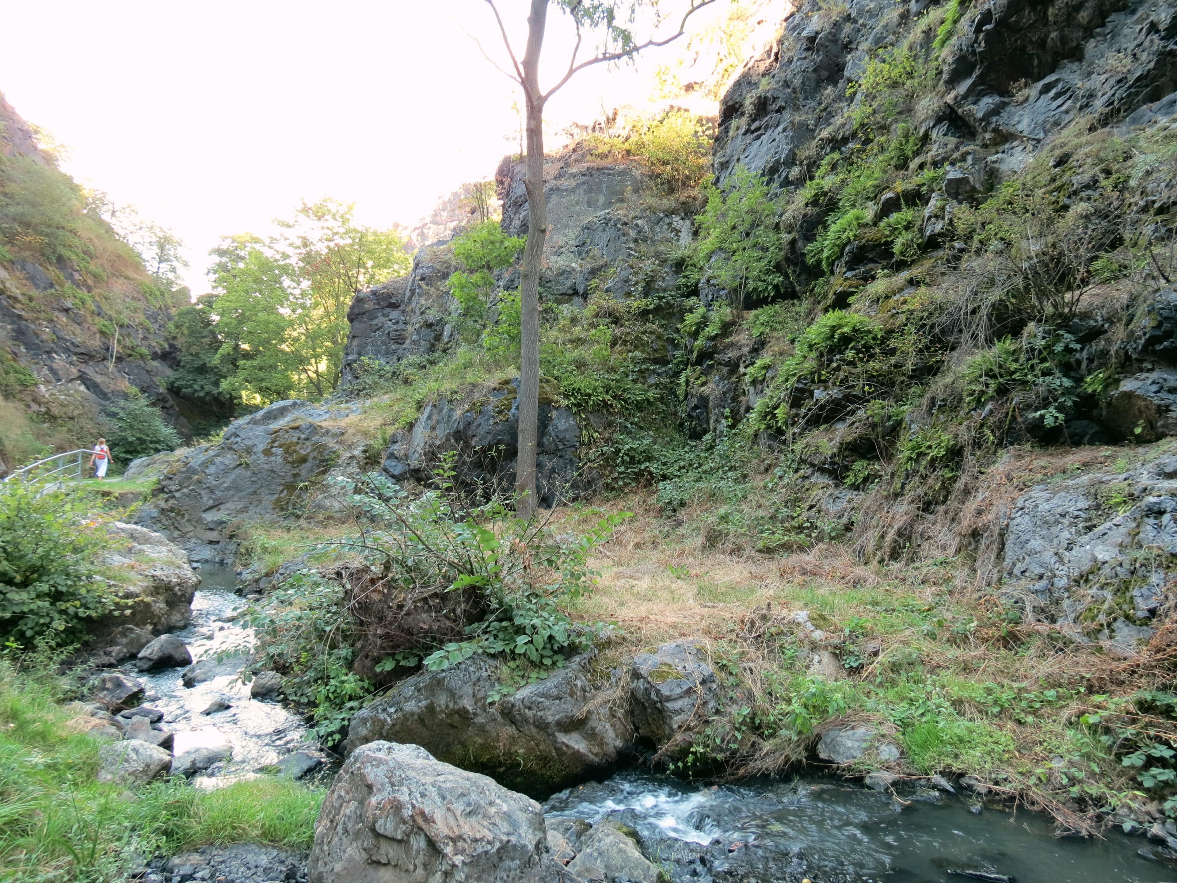 Cover image of this place Divoká Šárka