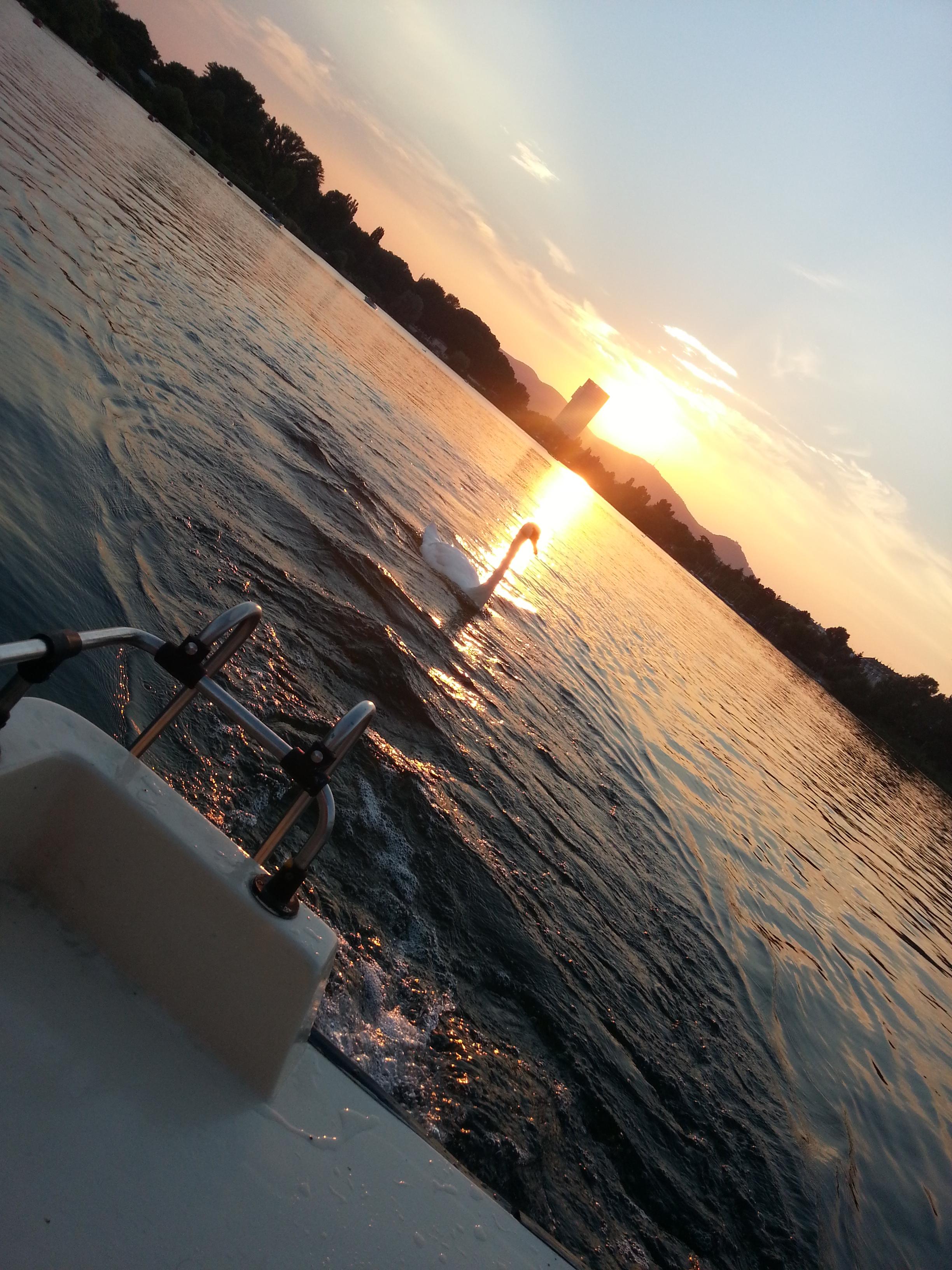 Cover image of this place Alte Donau