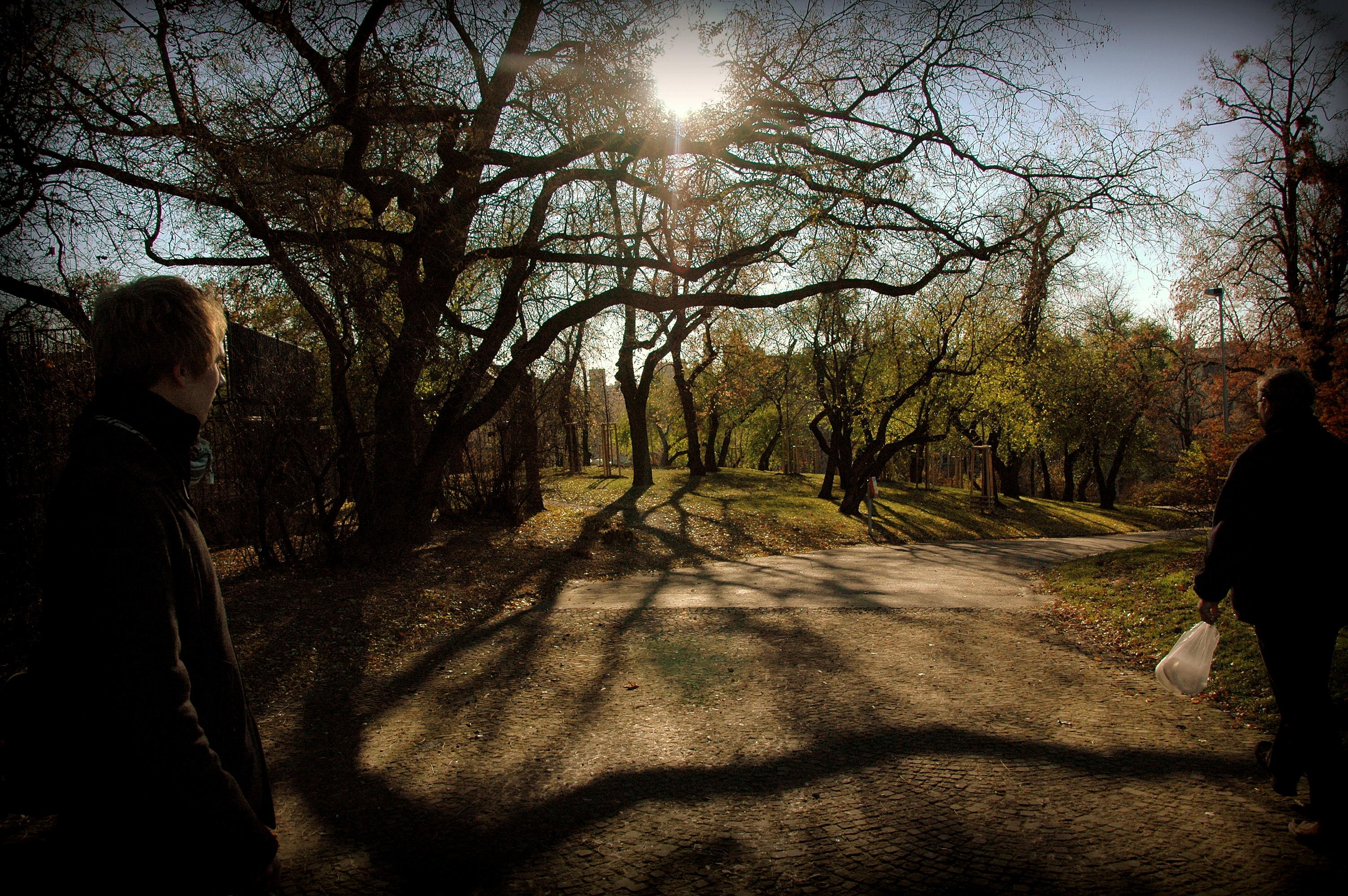 Cover image of this place Riegrovy sady