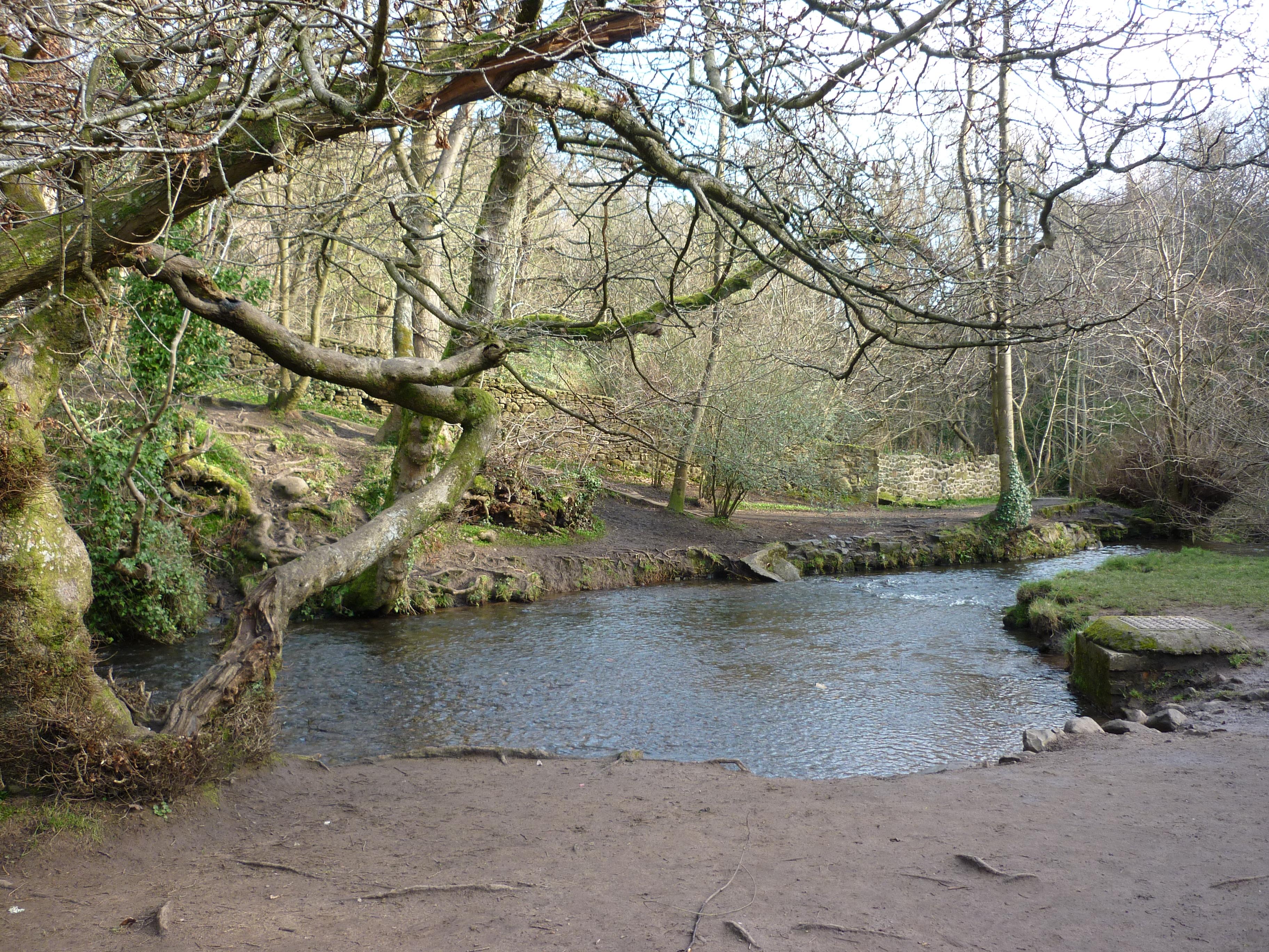 Cover image of this place Hermitage Of Braid