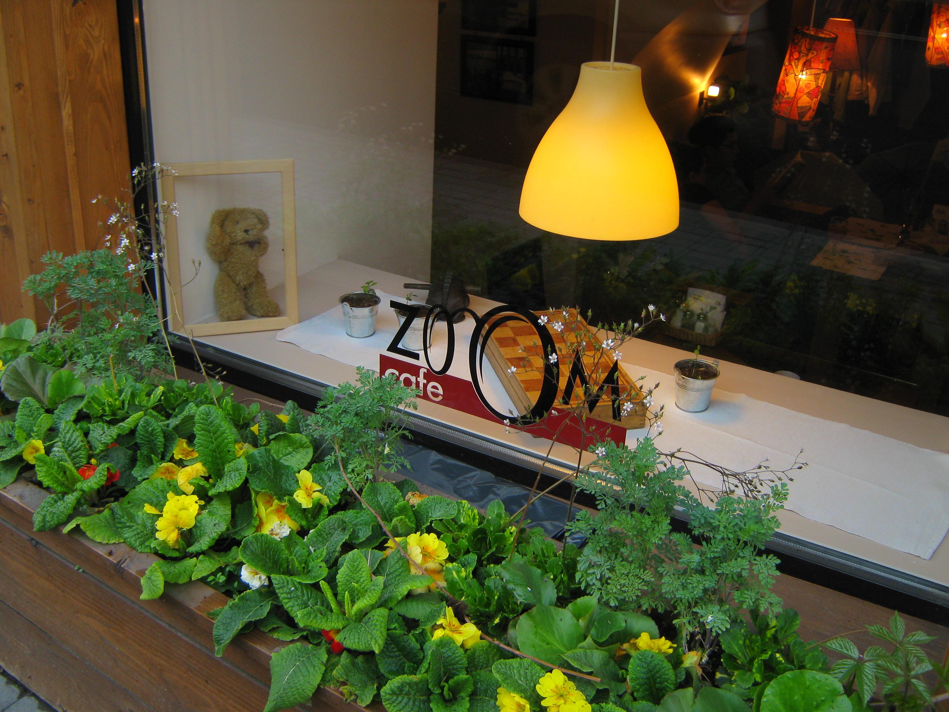 Cover image of this place Cafe Zoom