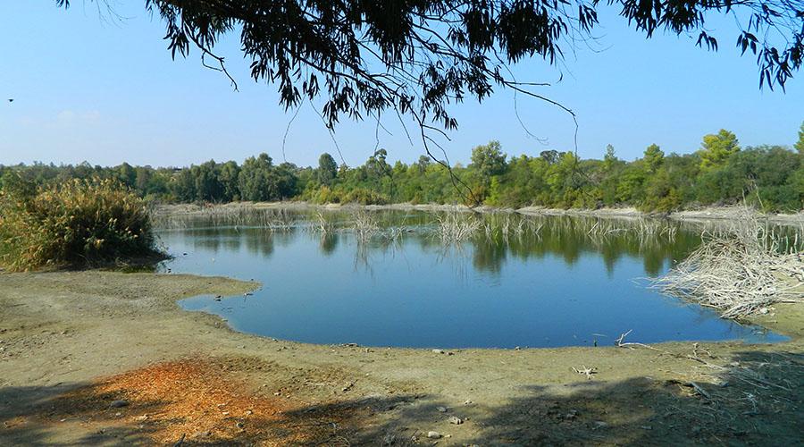 Cover image of this place Athalassa National Forest Park