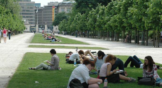 Cover image of this place Parc Royal