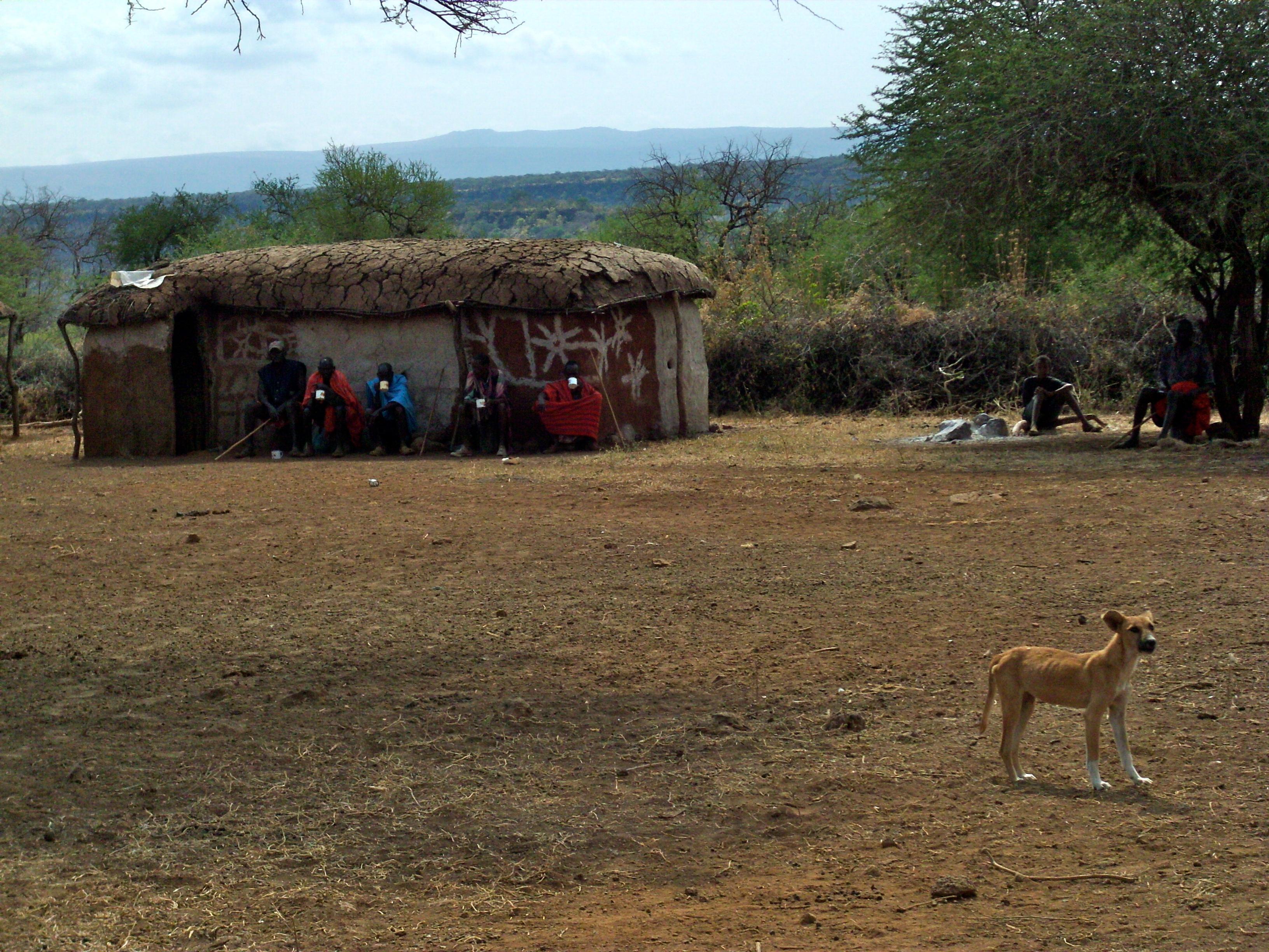 Cover image of this place Nyama choma in Maasai homes
