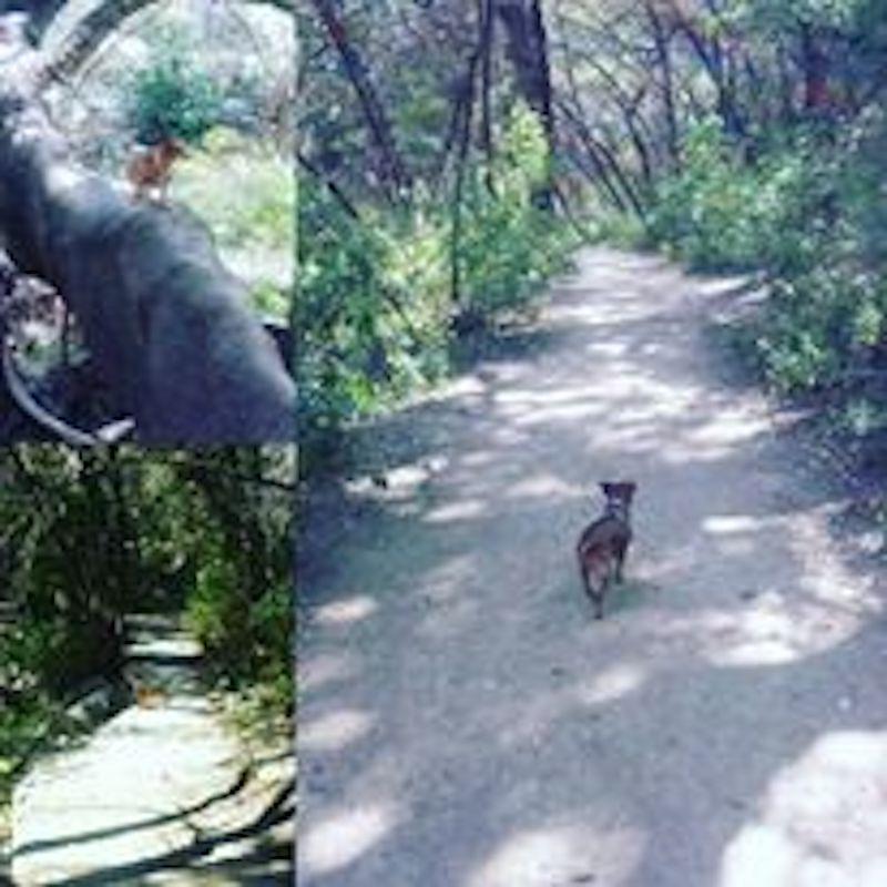 Cover image of this place Turkey Creek Trail