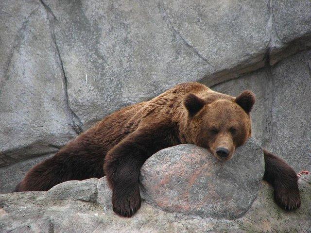 Cover image of this place Kiev Zoo
