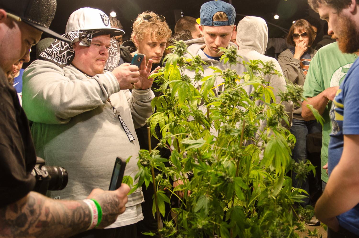 Cover image of this place High Times Cannabis Cup