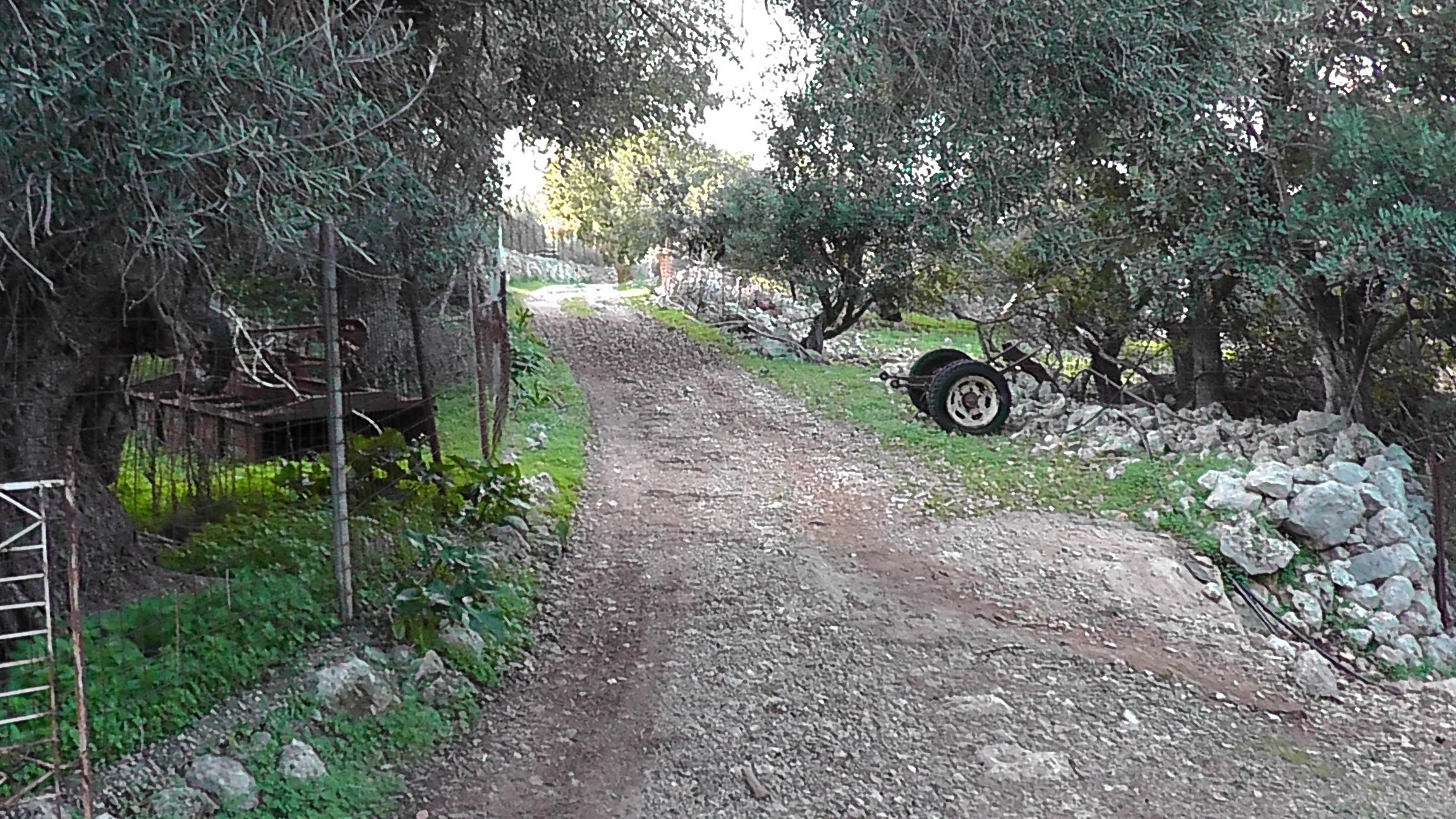 Cover image of this place Vederi (Βεδέροι) gorge