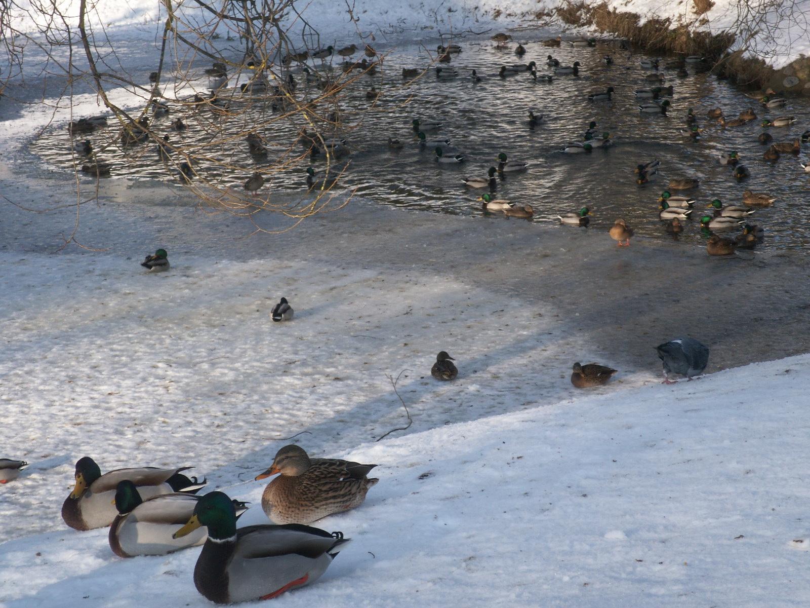 Cover image of this place Russian Embassy’s Park