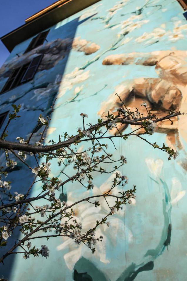 Cover image of this place Tor Marancia Lotto 1 Street Art