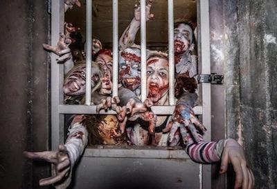 Cover image of this place Zombie Experience