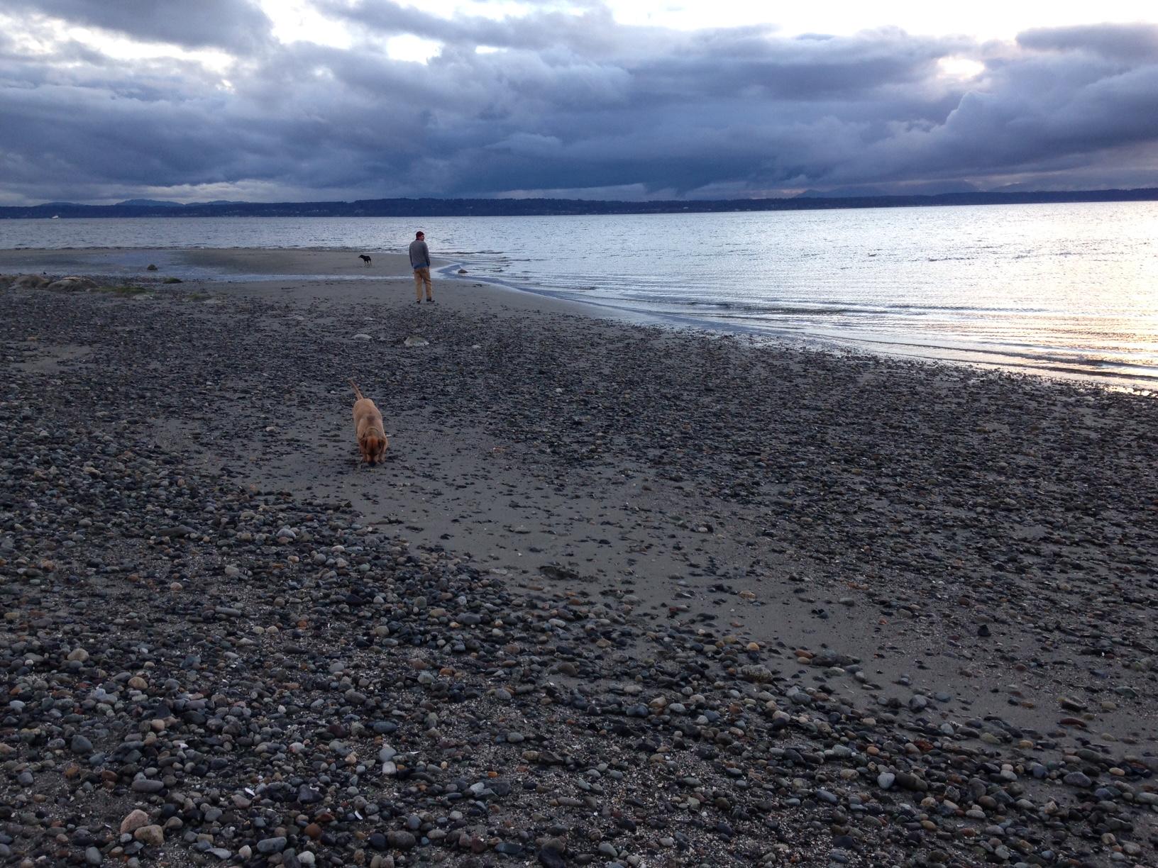 Cover image of this place Golden Gardens Park