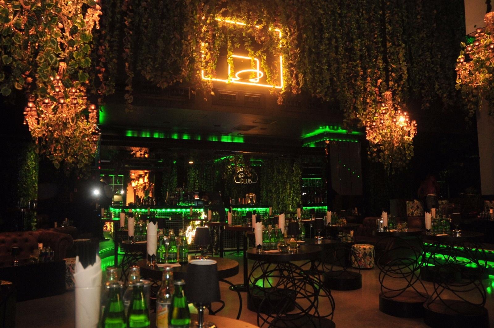 Cover image of this place Jungle 8