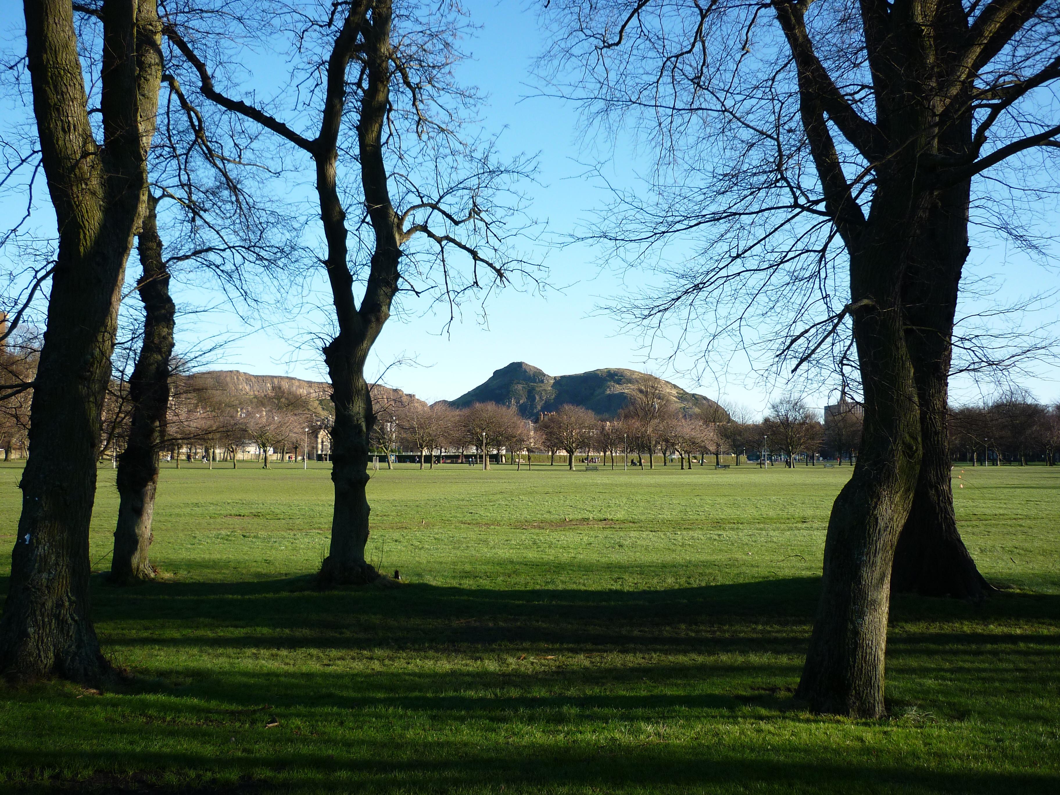 Cover image of this place The Meadows