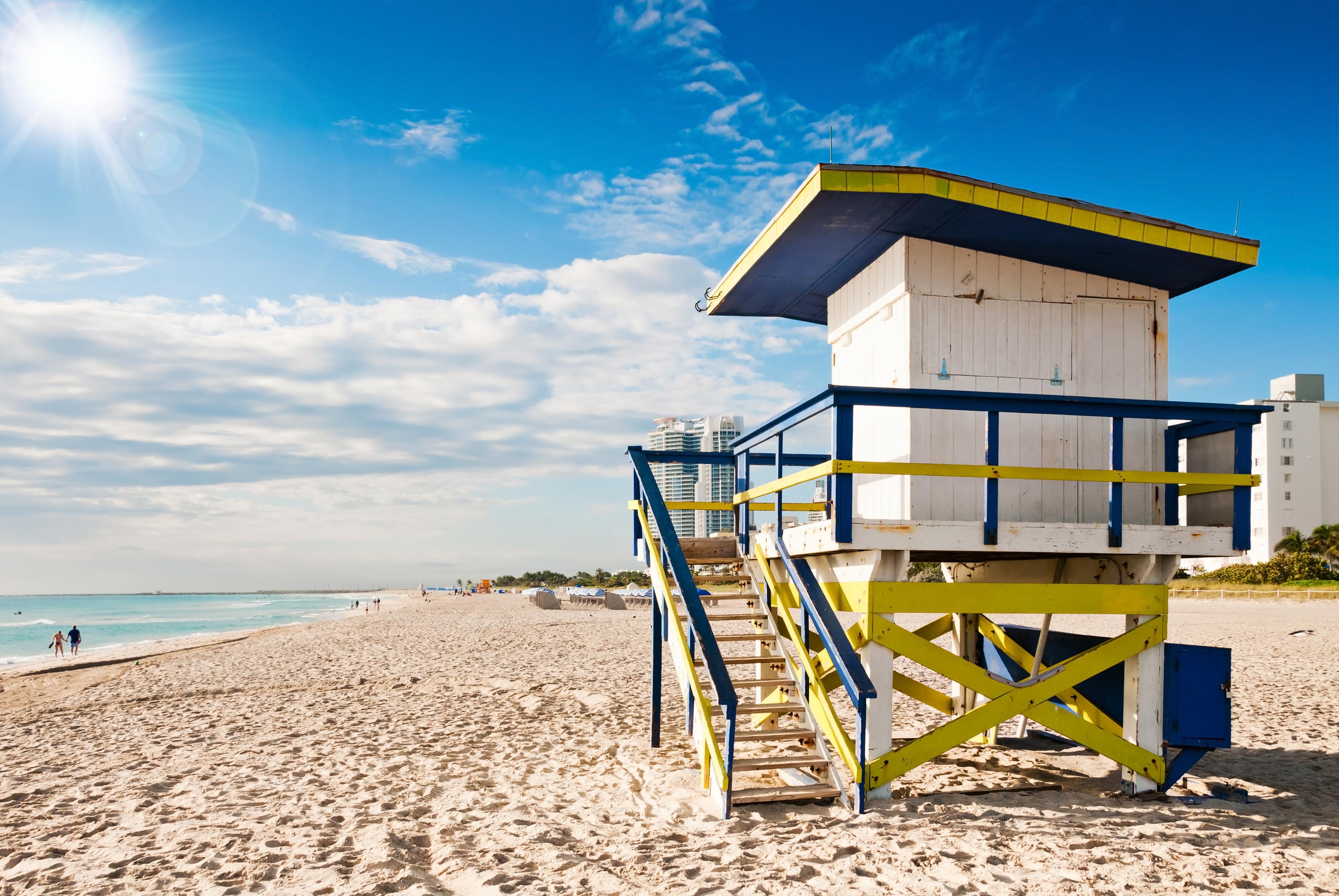 The Miami city, cover photo