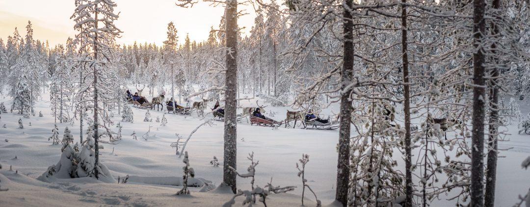 Cover image of this place Salla's Reindeer Park