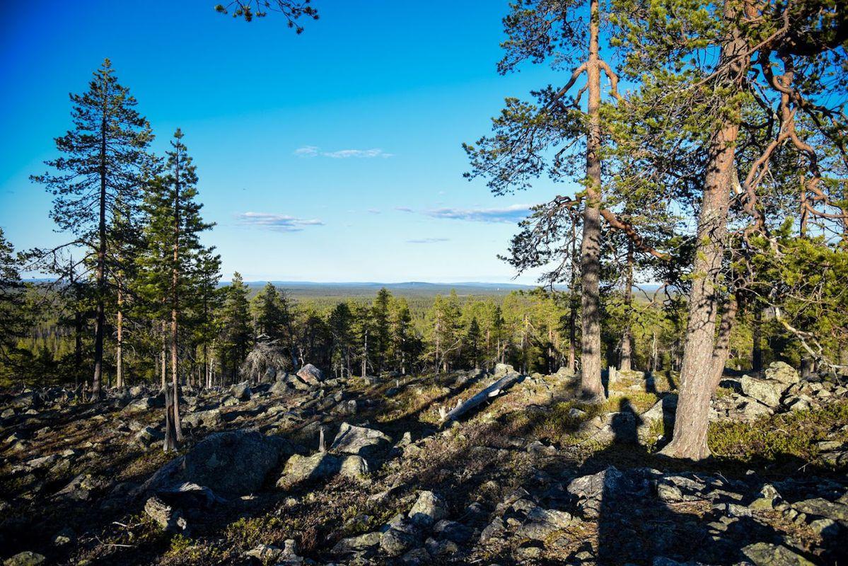 Cover image of this place Pittiövaara Hill