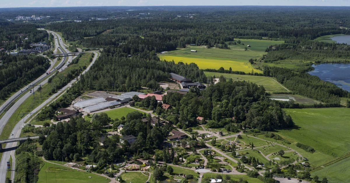 Cover image of this place Marketanpuisto