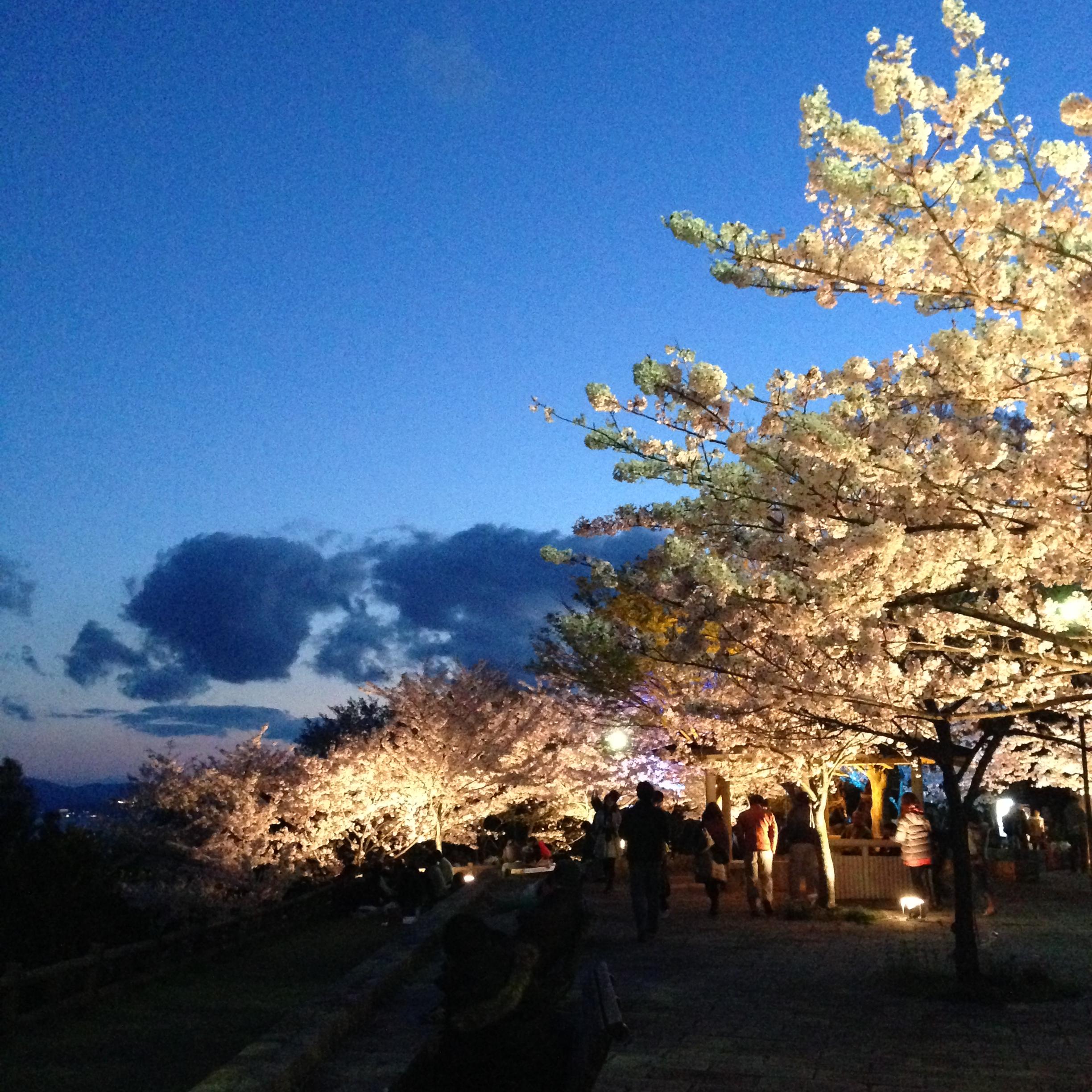 Cover image of this place 須磨浦公園( Sunamura park)