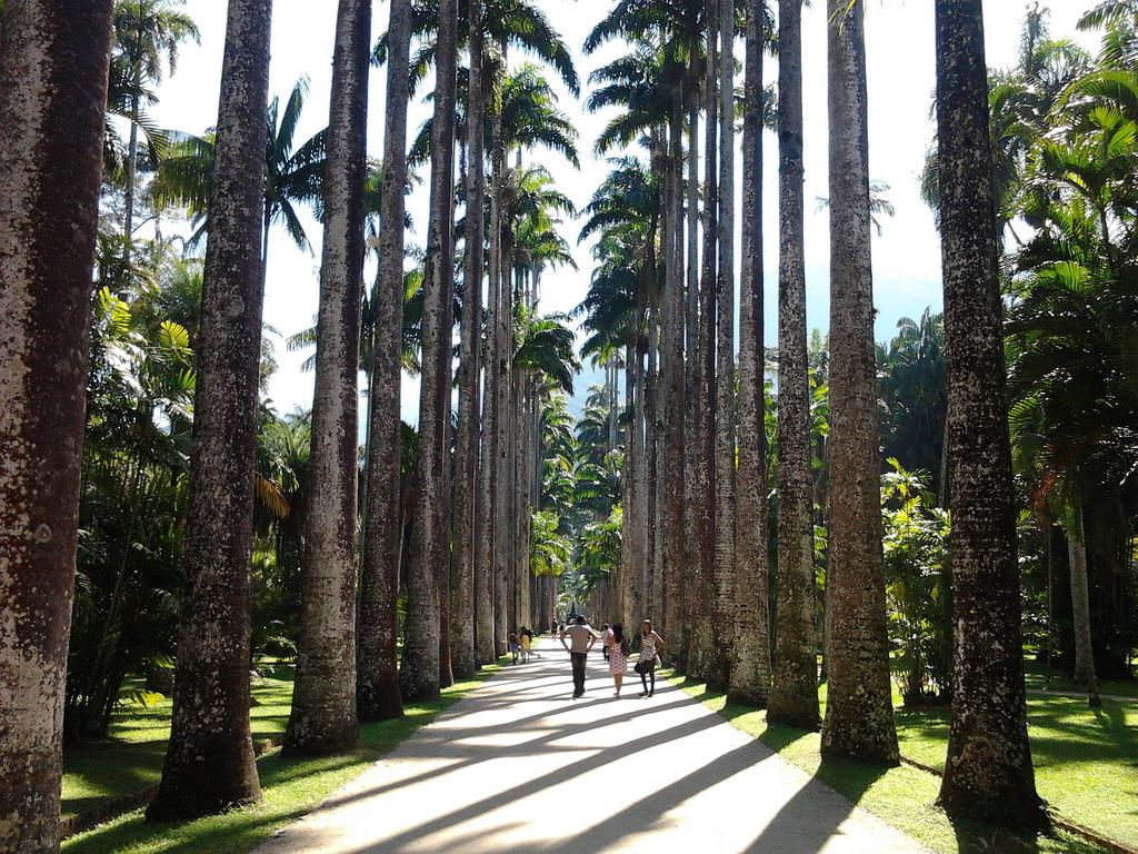 Cover image of this place Jardim Botânico