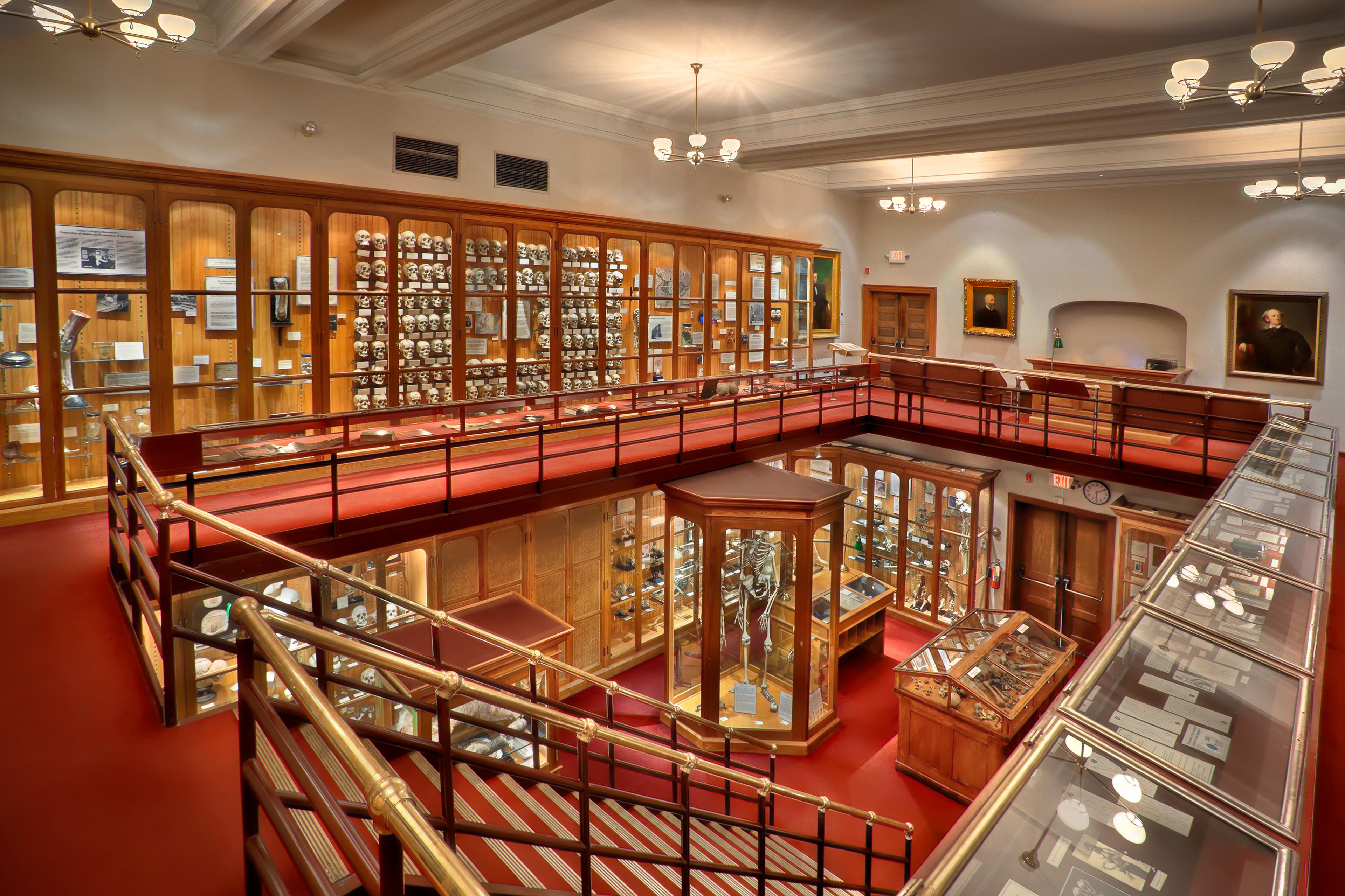 Cover image of this place Mütter Museum