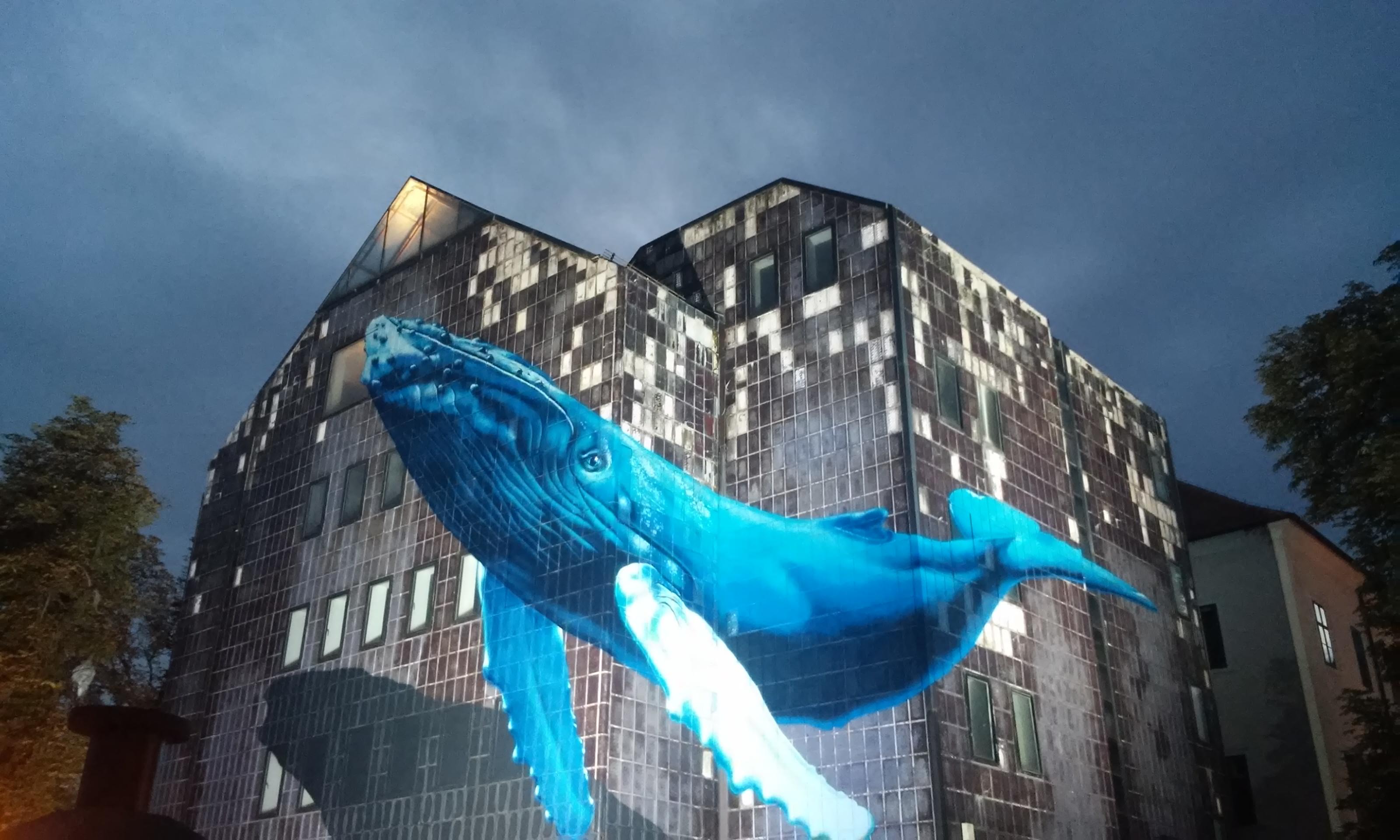 Cover image of this place Giant Whale Mural