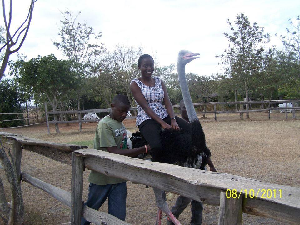 Cover image of this place Maasai Ostrich Resort