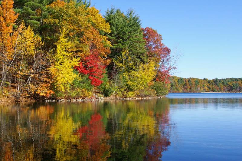 Cover image of this place Walden Pond State Reservation