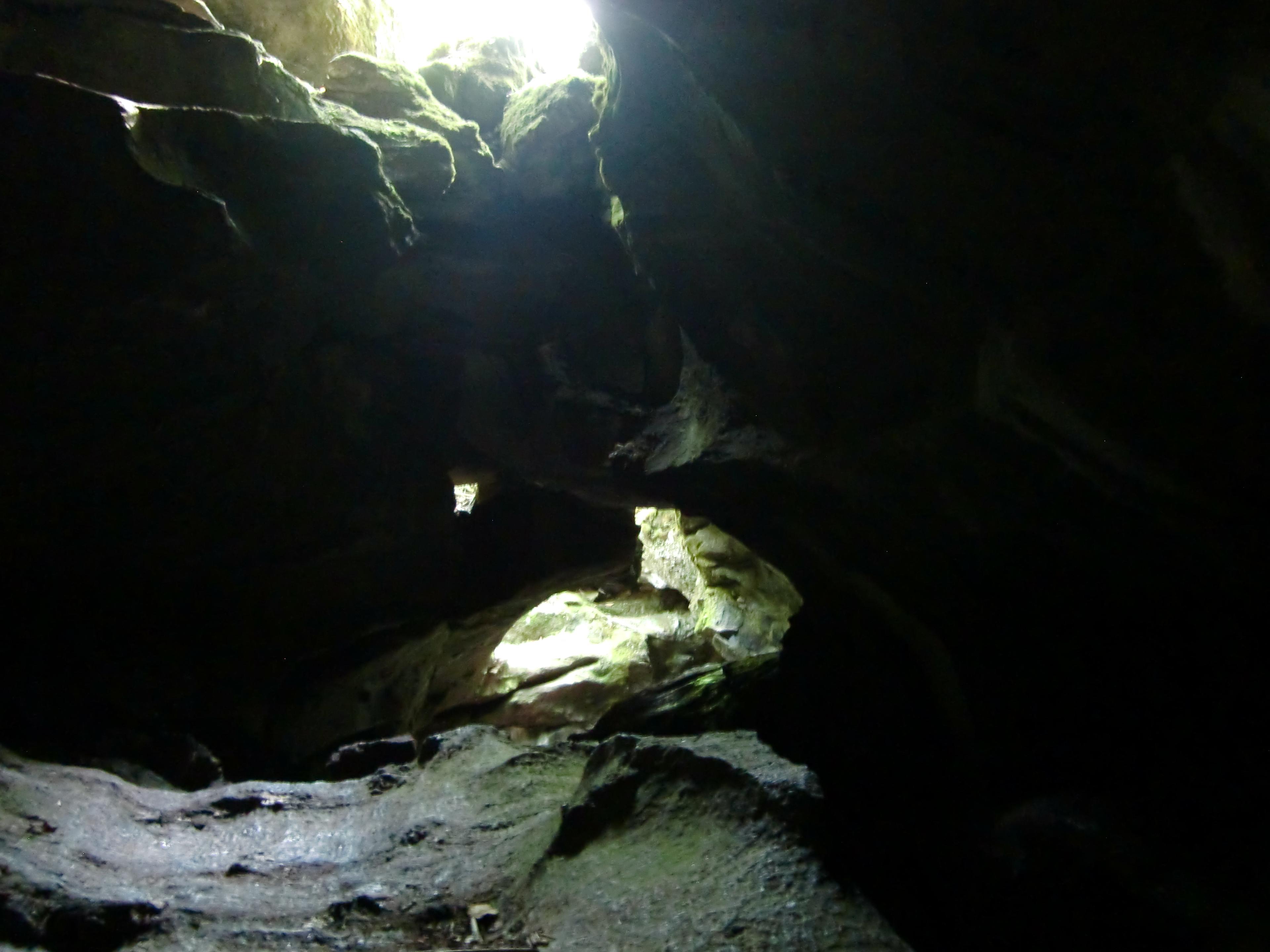 Cover image of this place Lusk Caves