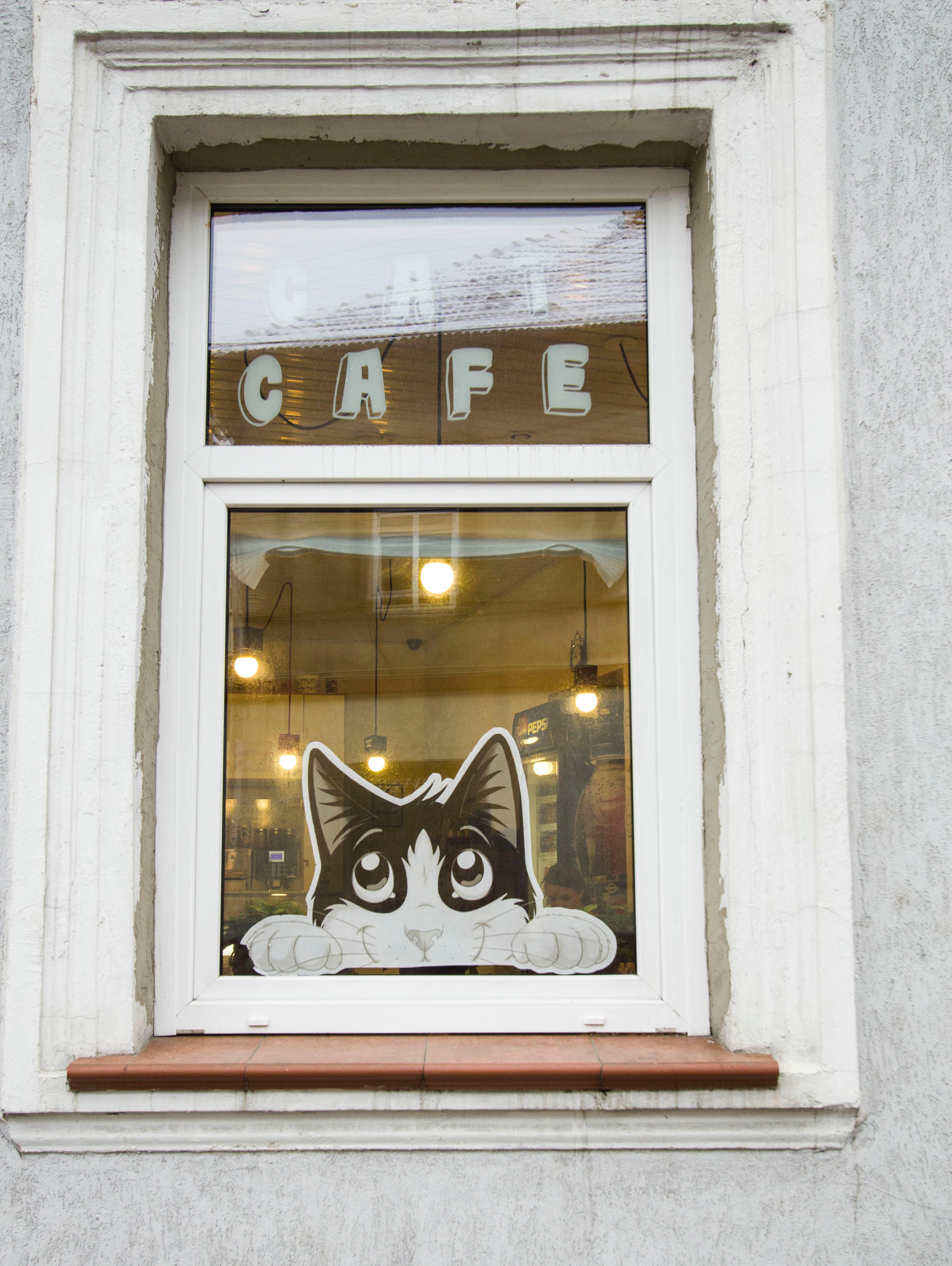 Cover image of this place Murrr Café