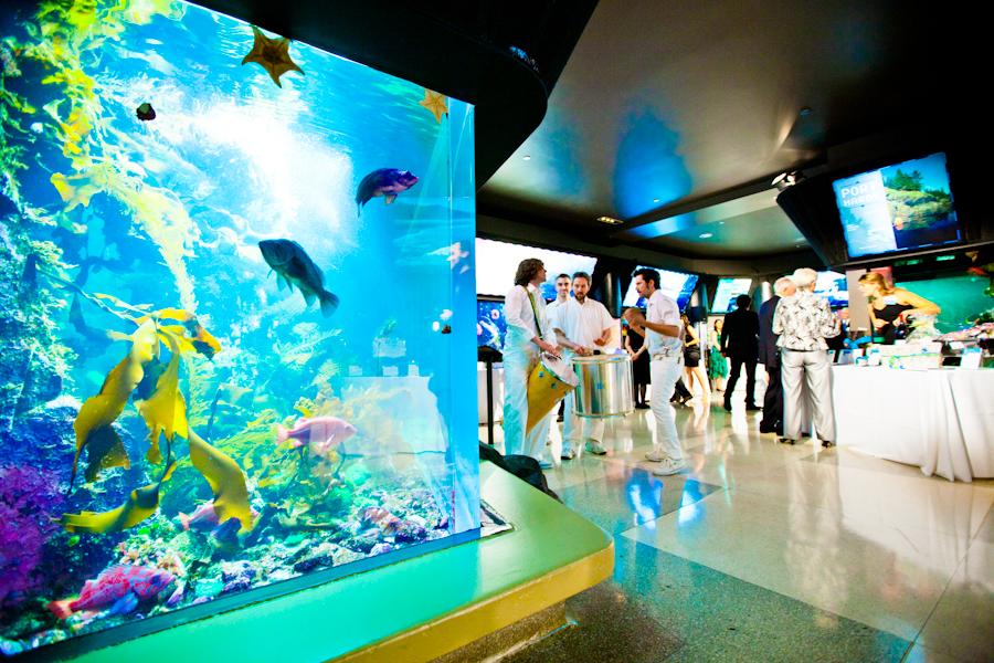 Cover image of this place Vancouver Aquarium