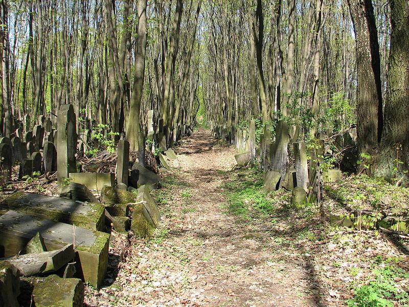 Cover image of this place Jewish Cemetery