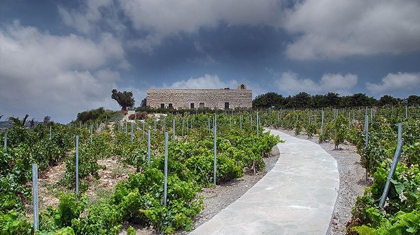 Cover image of this place Ixsir Winery