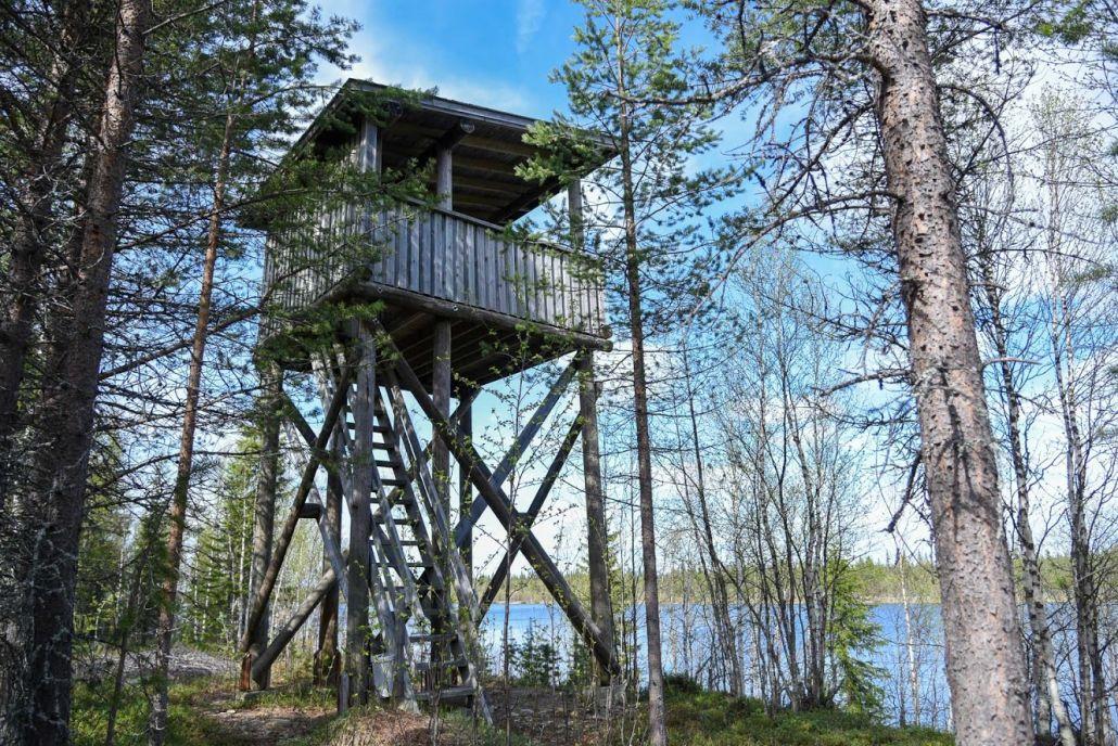 Cover image of this place Peurasuvanto's Bird Watching Tower