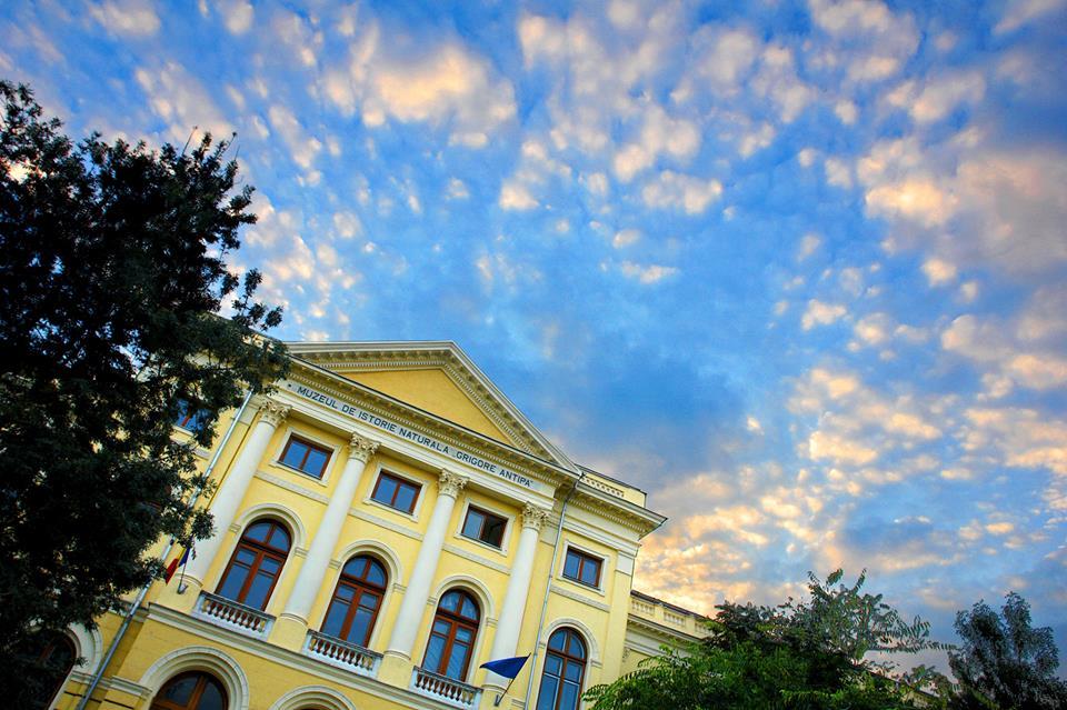 Cover image of this place Muzeul Național de Istorie Naturală „Grigore Antipa”