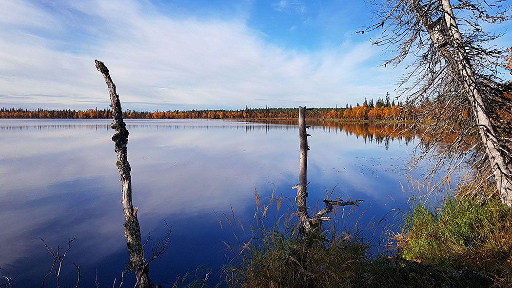 Cover image of this place Ilmakkiaapa's Marsh Reservation Area