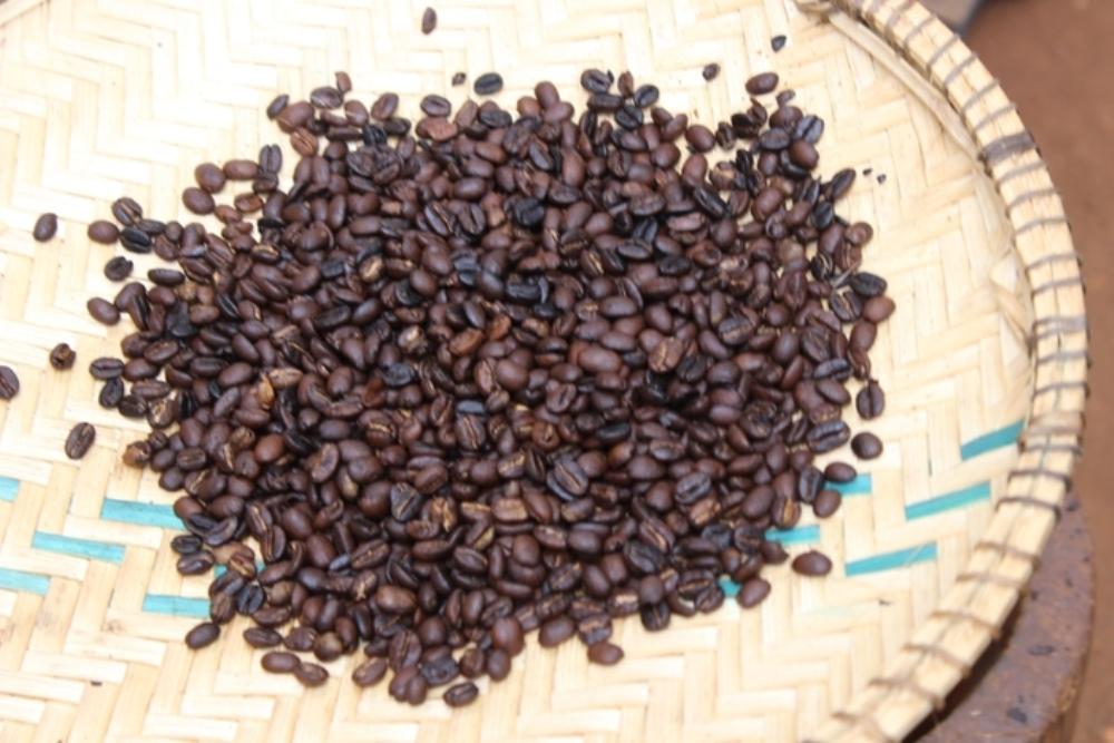 Cover image of this place Coffee tour, Kenya