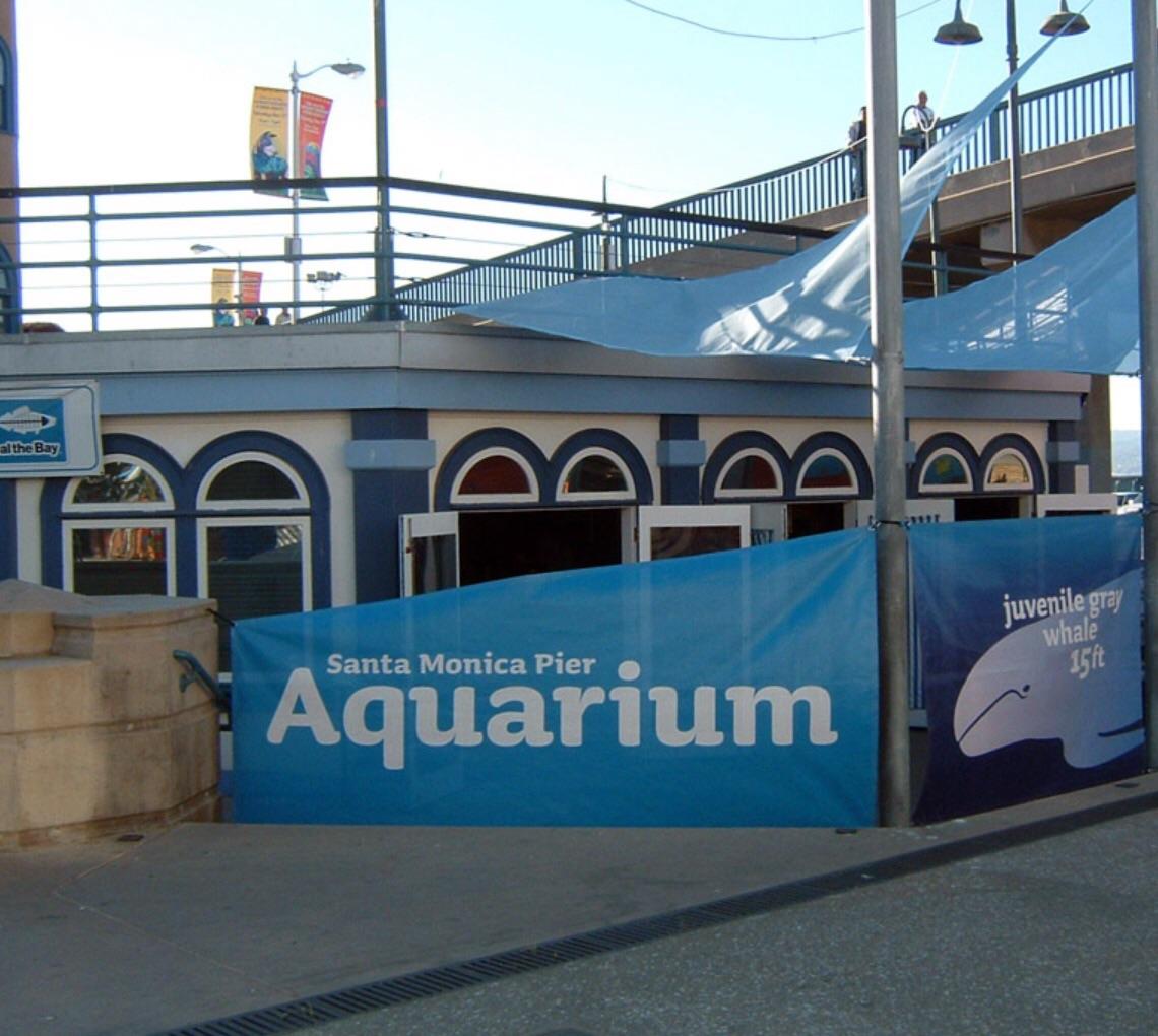 Cover image of this place Heal the Bay's Santa Monica Pier Aquarium