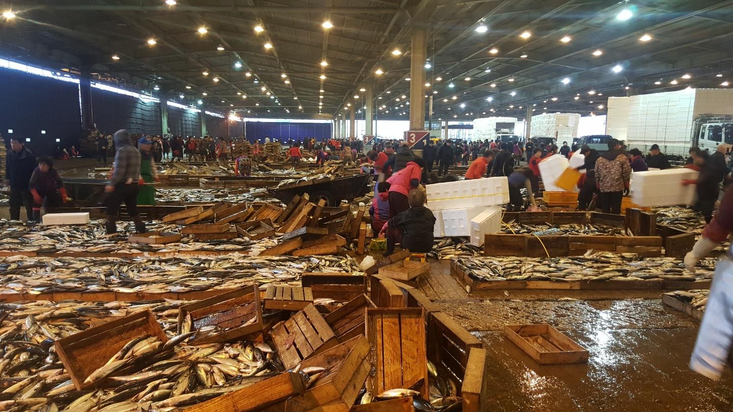 Cover image of this place Busan cooperative fish market(부산공동어시장)