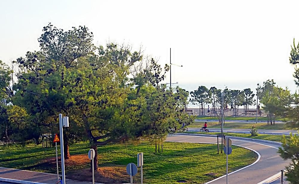Cover image of this place Traffic Education Park