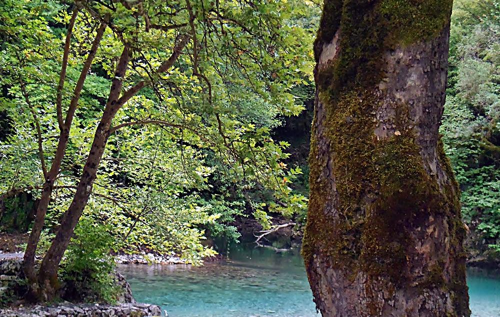Cover image of this place River Rafting at Voidomatis River