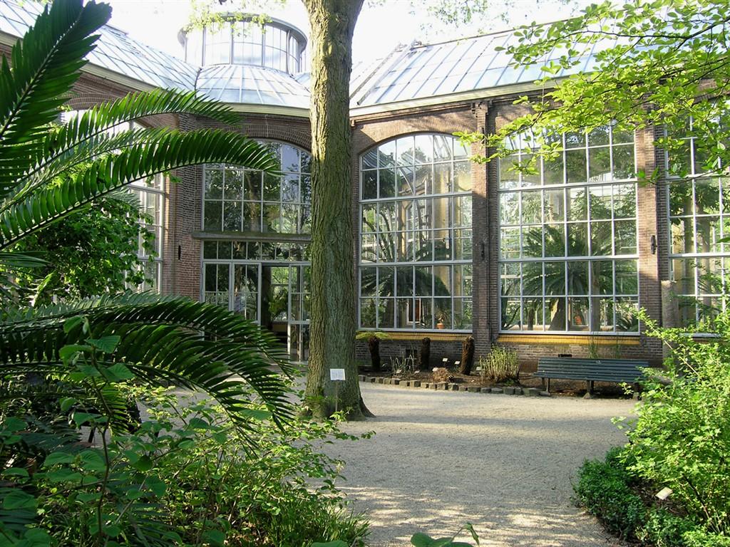 Cover image of this place Hortus Botanicus