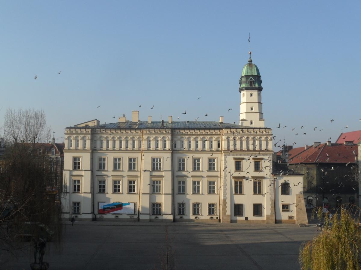 Cover image of this place Plac Wolnica